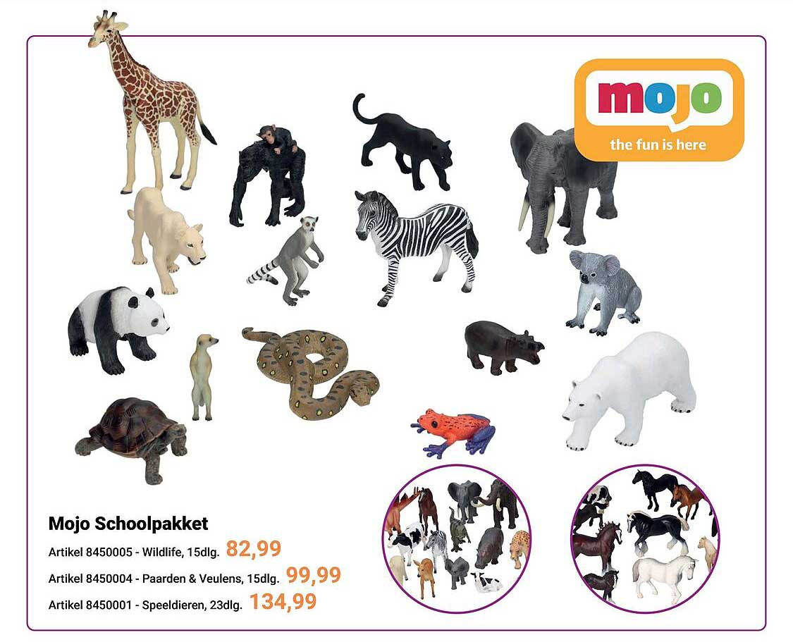 Mojo Schoolpakket