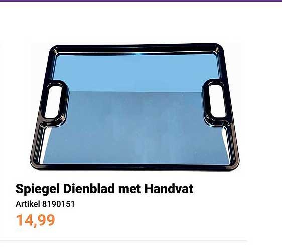 Spiegel Dienblad met Handvat