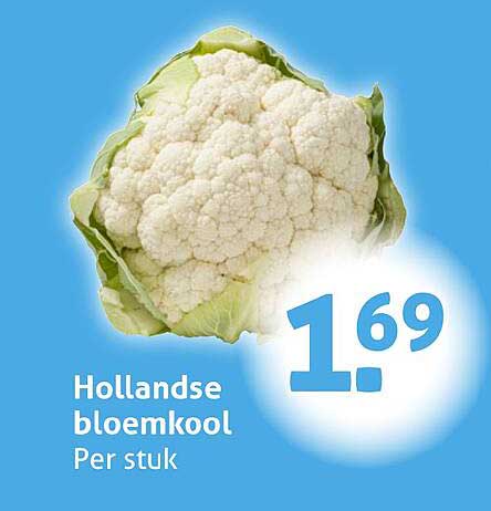 Hollandse bloemkool