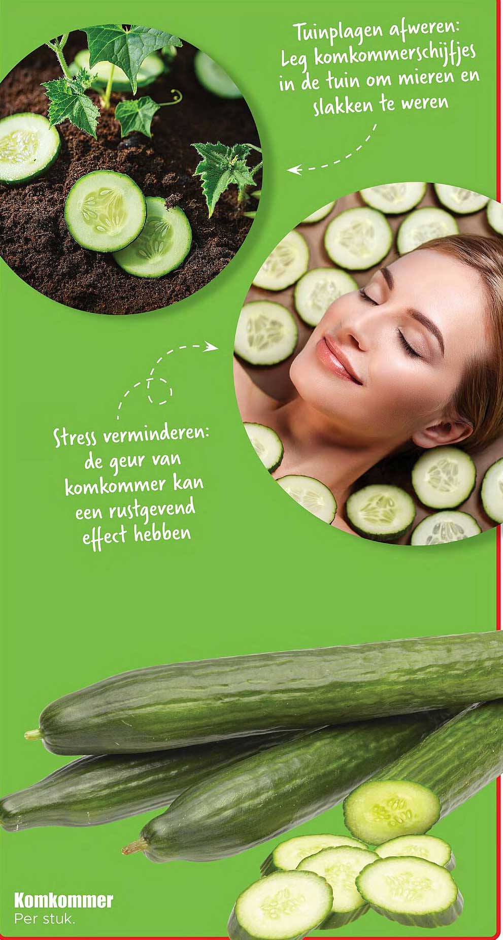 Komkommer per stuk.