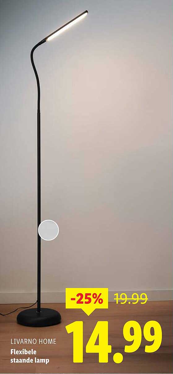 Livarno Home Flexibele staande lamp