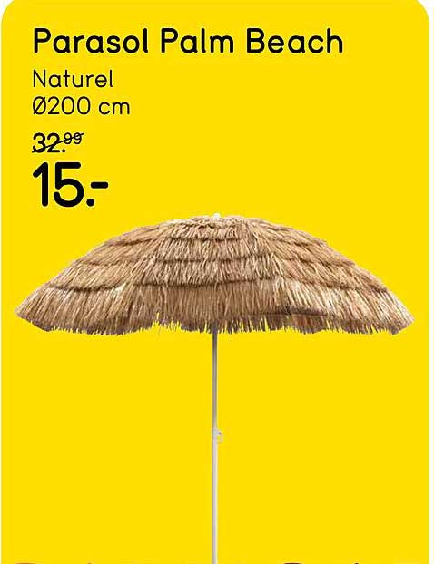Parasol Palm Beach