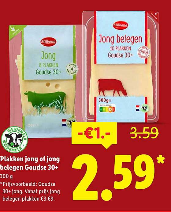 Plakken jong of jong belegen Goudse 30+