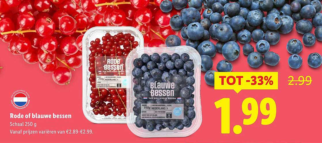 Rode of blauwe bessen Schaal 250 g