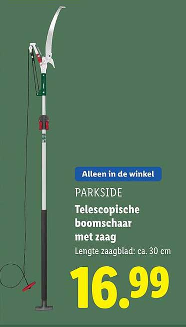 Telescopische boomschaard met zaag