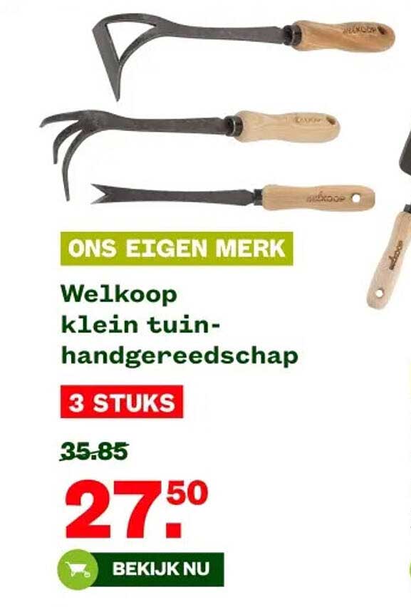 Welkoop klein tuinhandgereedschap 3 STUKS