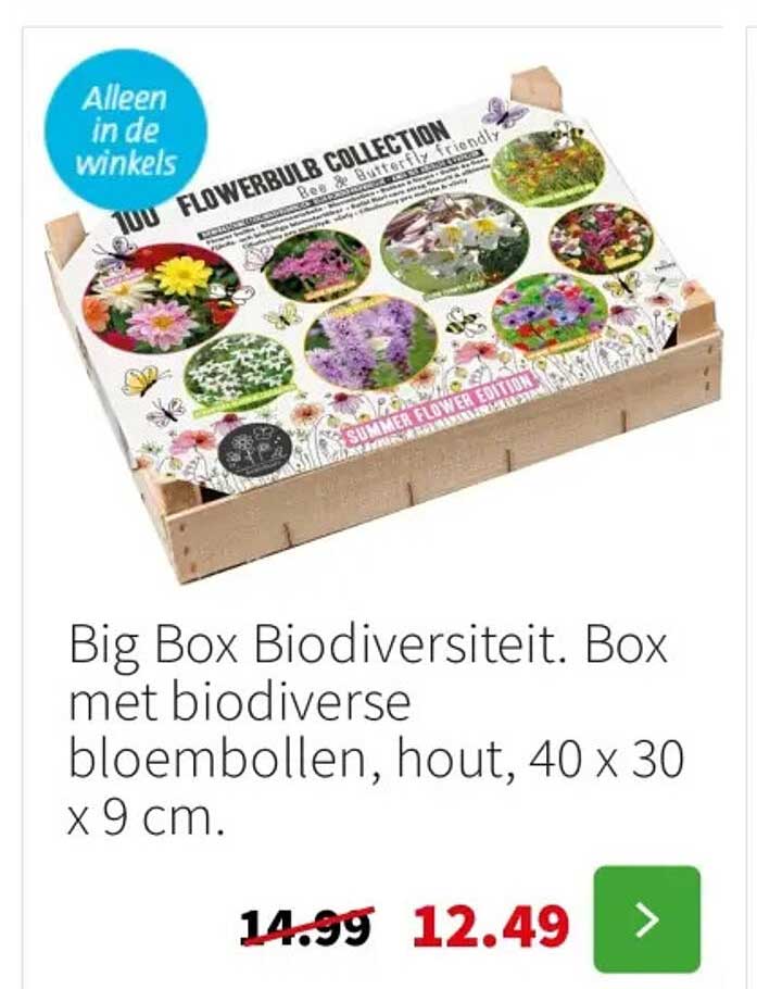 Big Box Biodiversiteit. Box met biodiverse bloembollen, hout, 40 x 30 x 9 cm.