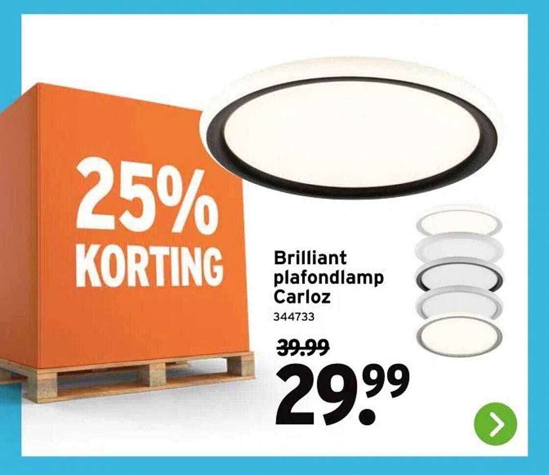 Brilliant plafondlamp Carlos