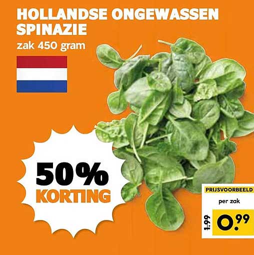 HOLLANDSE ONGEWASSEN SPINAZIE