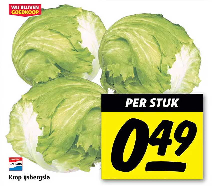 Krop ijsbergsla