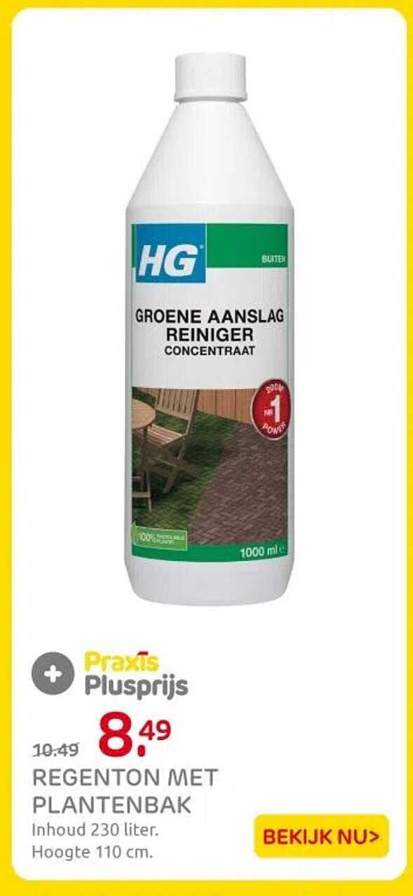 REGENTON MET PLANTENBAK