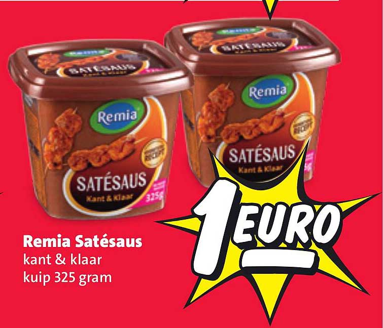 Remia Satésaus kant & klaar kuip 325 gram