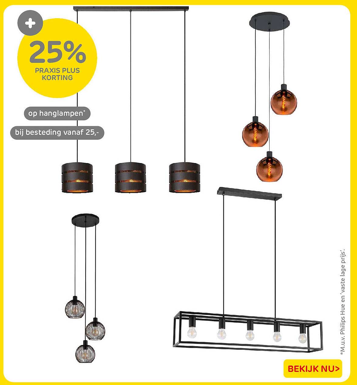 25% Praxis Plus korting op hanglampen* bij besteding vanaf 25,-