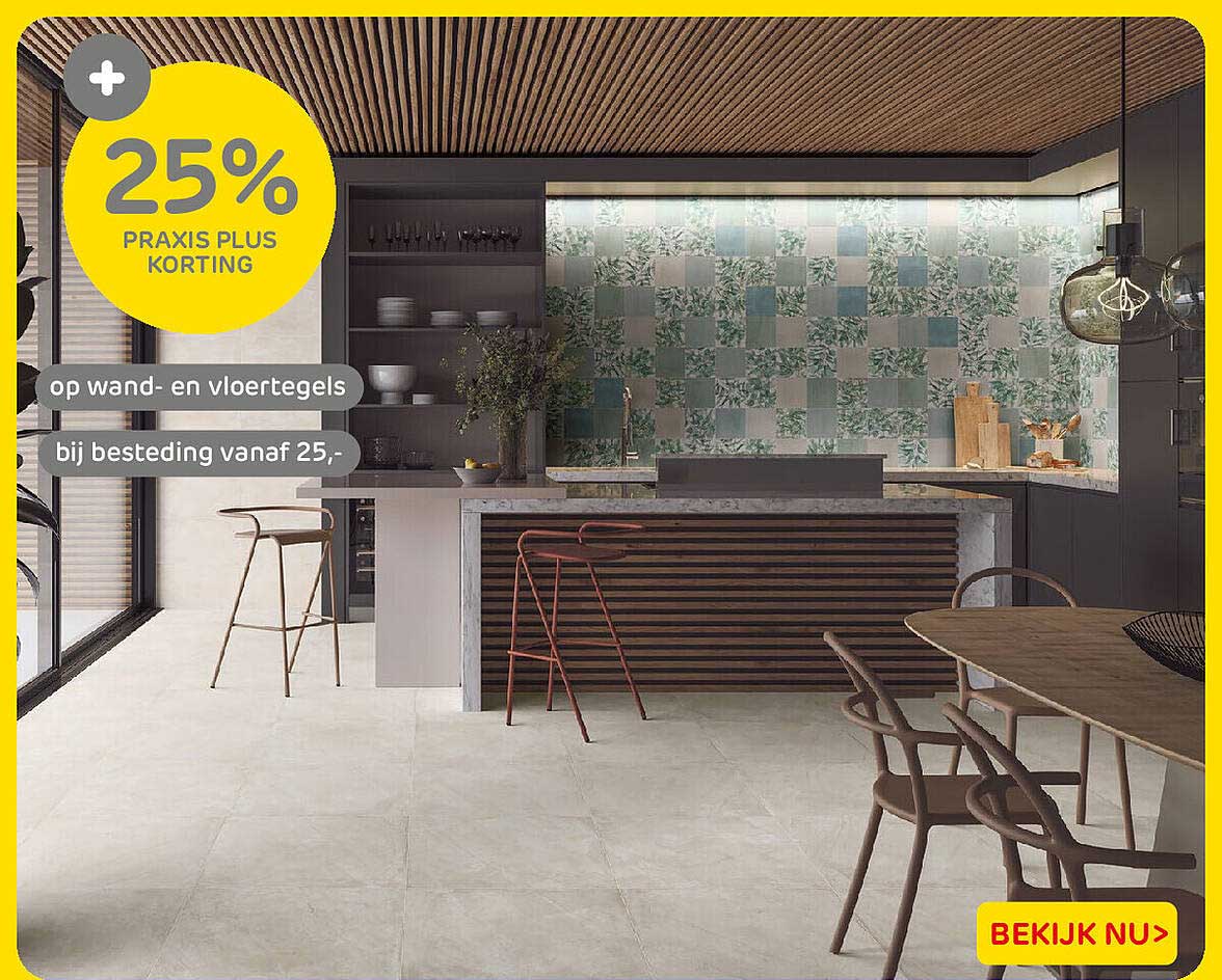 25% PRAXIS PLUS KORTING op wand- en vloertegels bij besteding vanaf 25,-