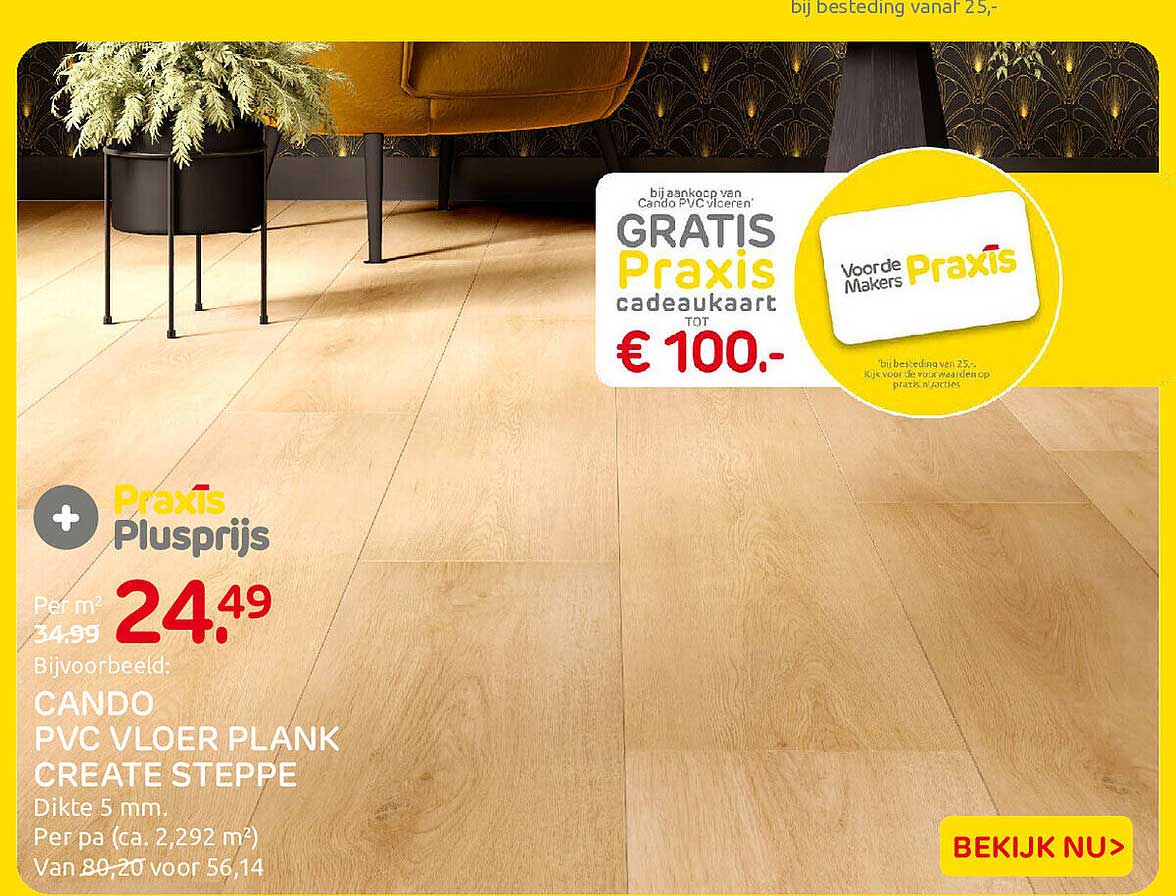 Praxis Plusprijs