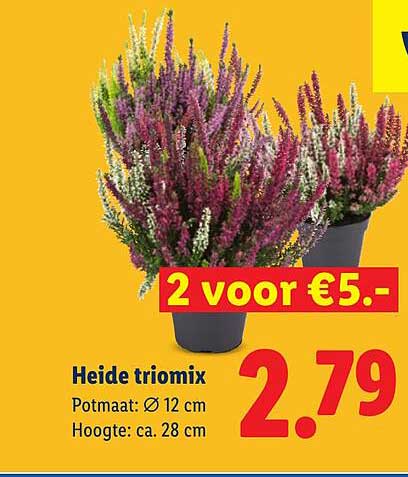 Heide triomix 2 voor €5.-