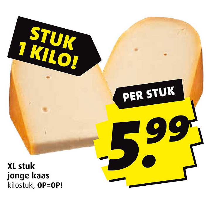XL stuk jonge kaas