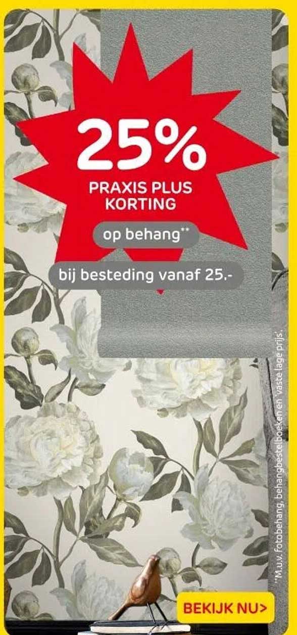 25% PRAKIS PLUS KORTING op behang bij besteding vanaf 25,-