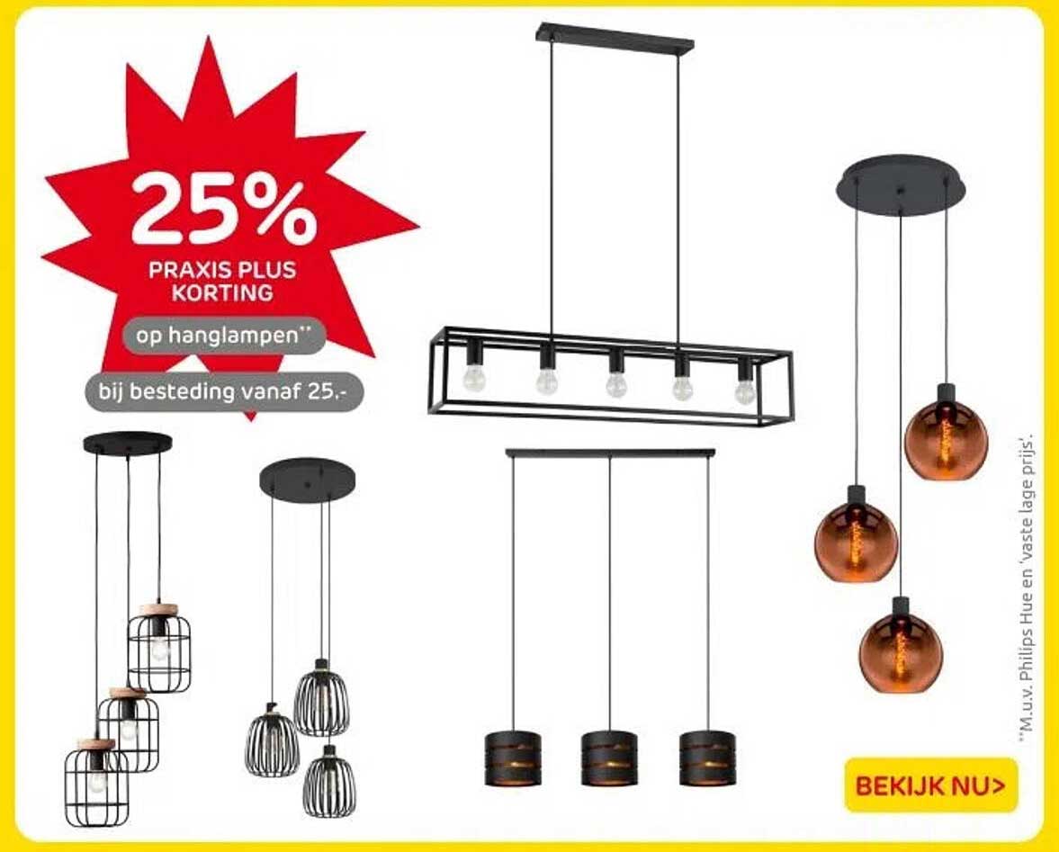 25% PRAXIS PLUS KORTING op hanglampen bij besteding vanaf 25.-
