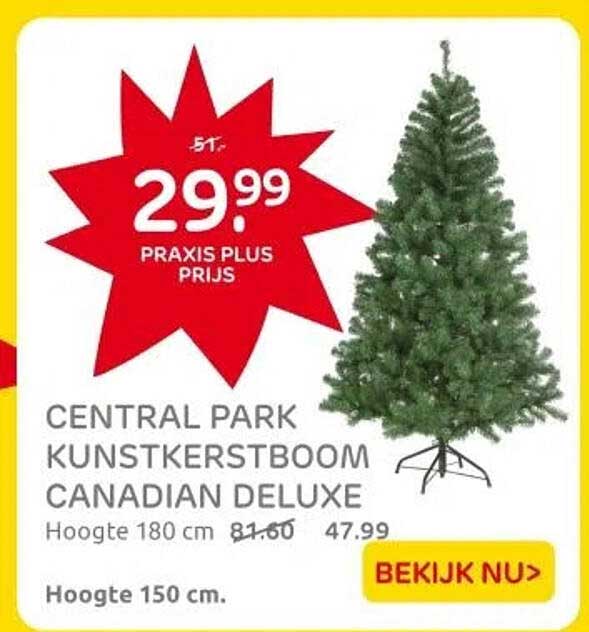 CENTRAL PARK KUNSTKERSTBOOM CANADIAN DELUXE