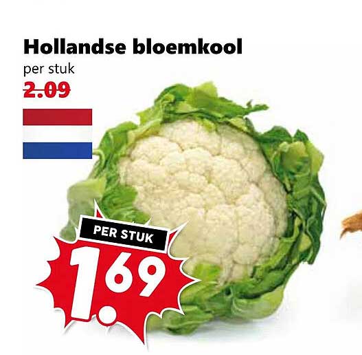 Hollandse bloemkool