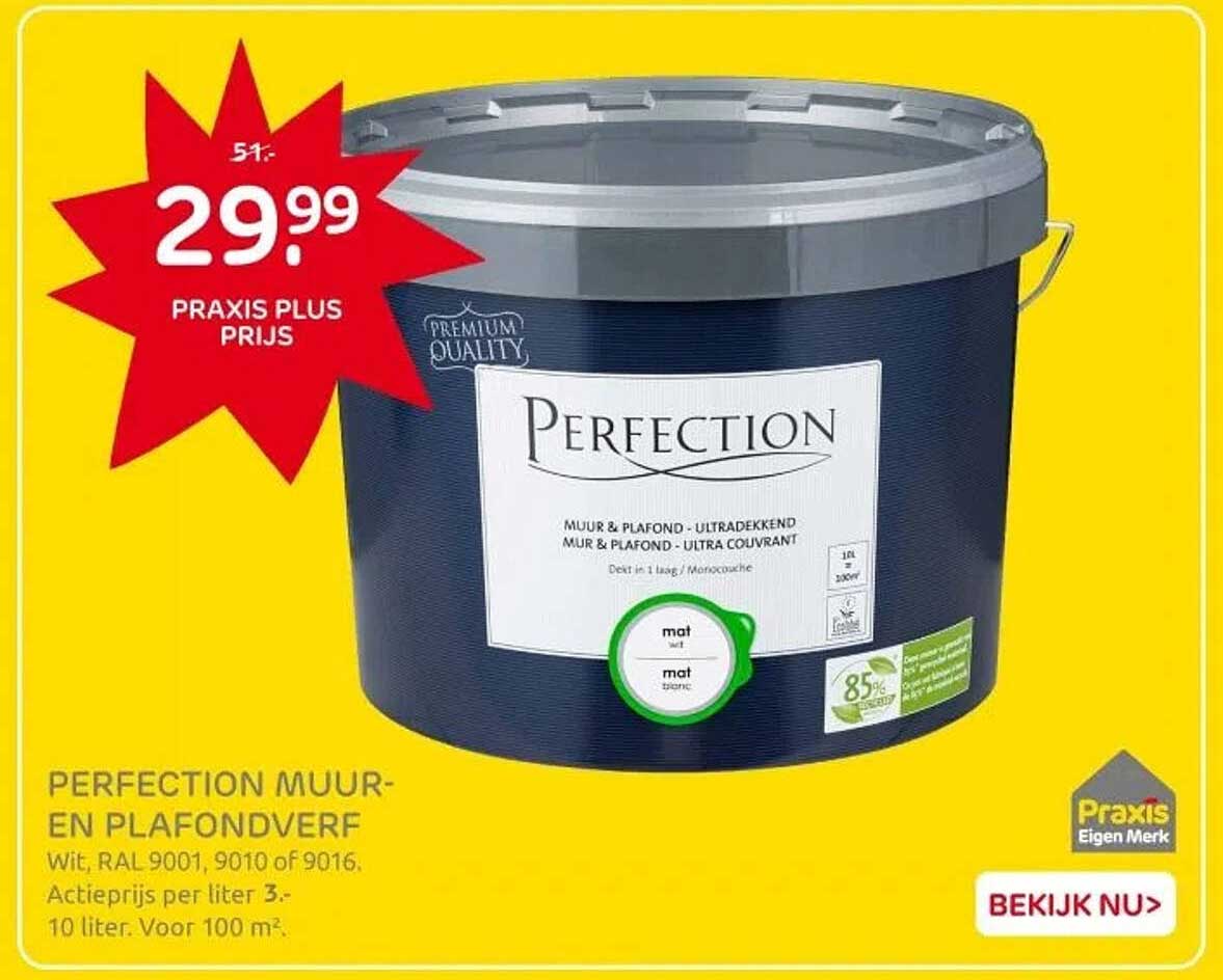 PERFECTION MUUR- EN PLAFONDVERF