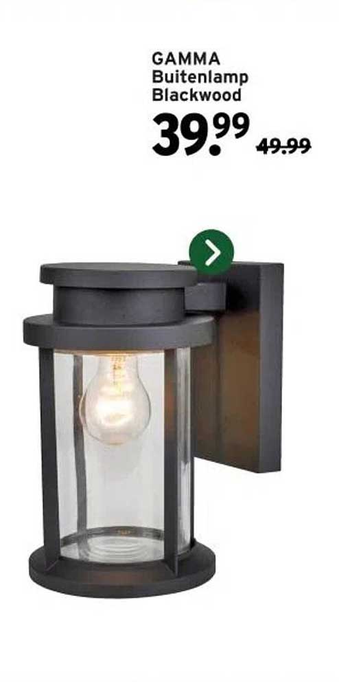 GAMMA Buitenlamp Blackwood