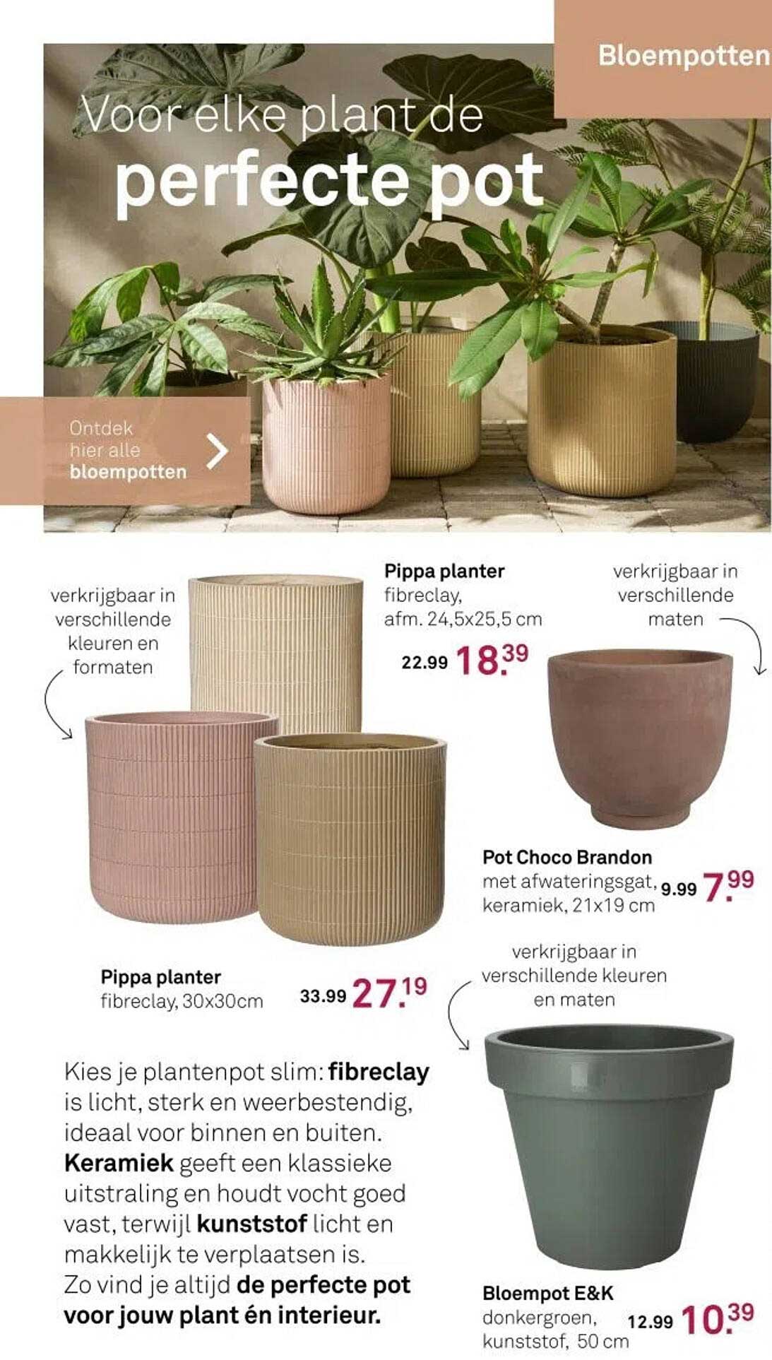 Pippa planter
