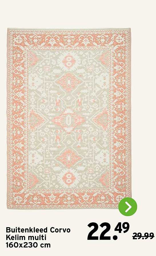 Buitenkleed Corvo Kelim multi 160x230 cm