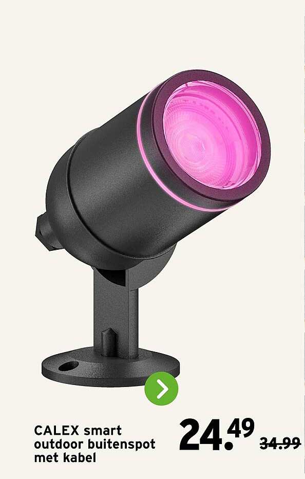 CALEX smart outdoor buitenspot met kabel