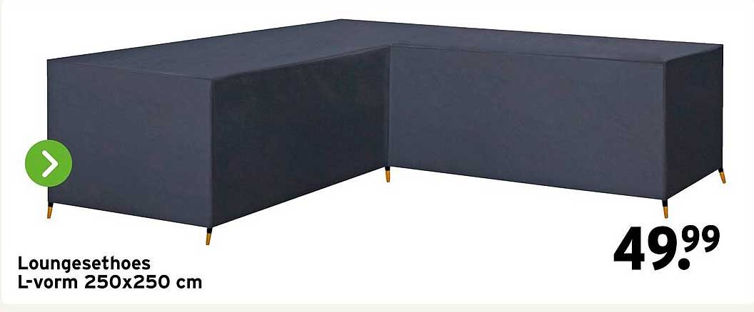 Loungesethoes L-vorm 250x250 cm