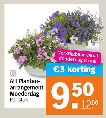 AH Planten-arrangement Moederdag