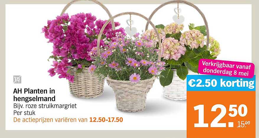AH Planten in hengselmand