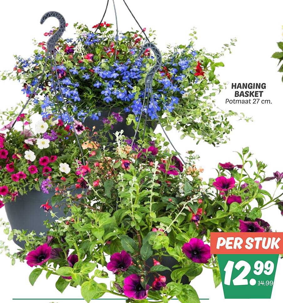 HANGING BASKET Potmaat 27 cm.