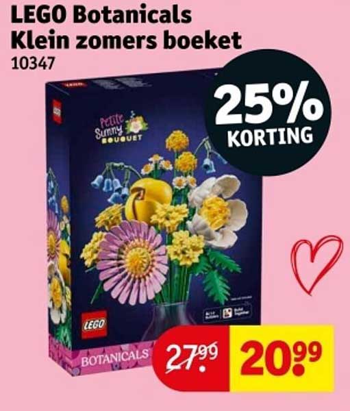 LEGO Botanicals Klein zomers boeket 10347