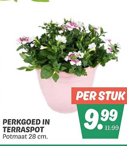 PERKGOED IN TERRASPOT