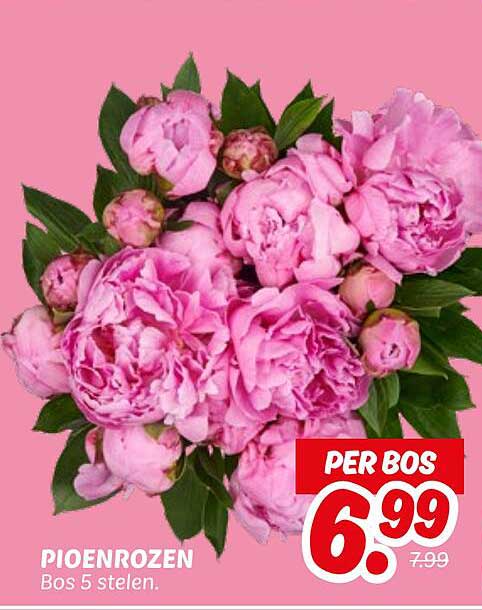 Pioenrozen Bos 5 stelen