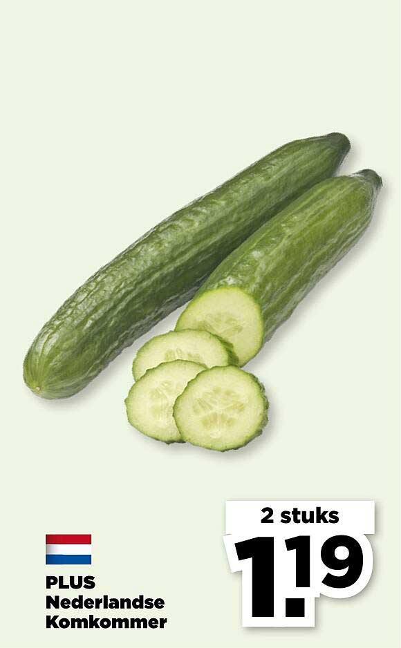 PLUS Nederlandse Komkommer 2 stuks