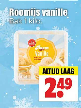Roomijs vanille Bak 1 kilo.