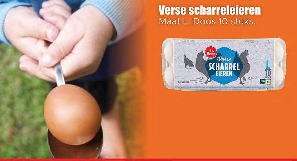 Verse scharreleieren Maat L. Doos 10 stuks.