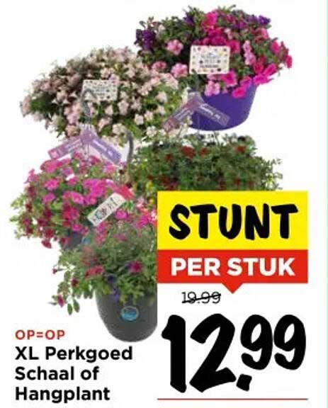 XL Perkgoed Schaal of Hangplant