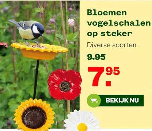 Bloemen vogelschalen op steker