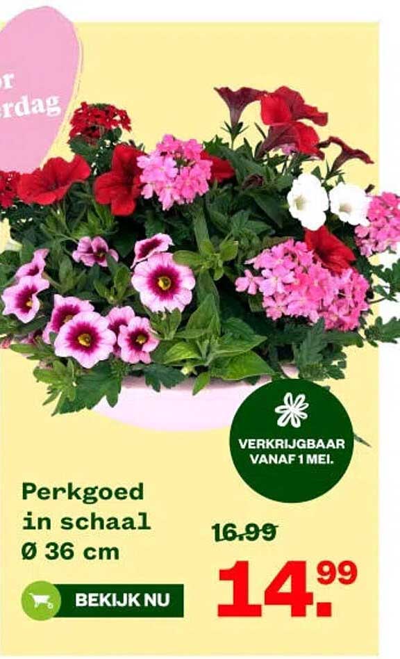 Perkgoed in schaal Ø 36 cm