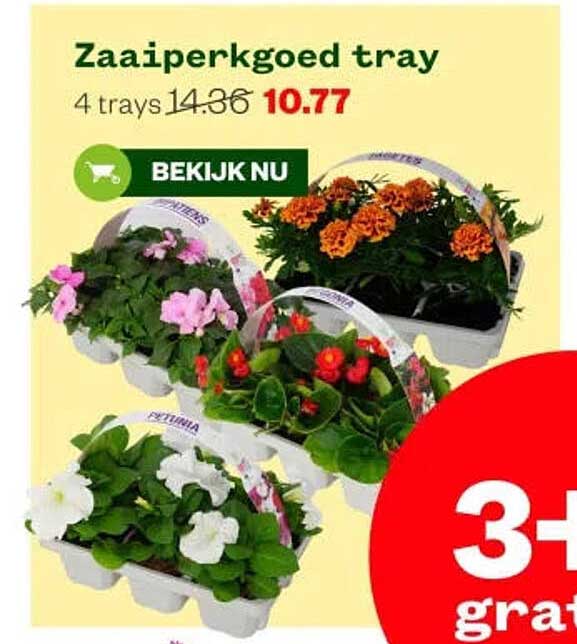 Zaaiperkgoed tray 4 trays 3+ gratis