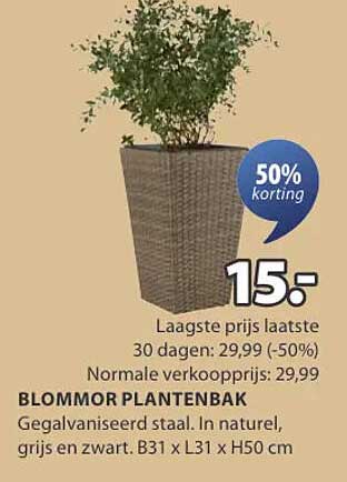 BLOMMOR PLANTENBAK
