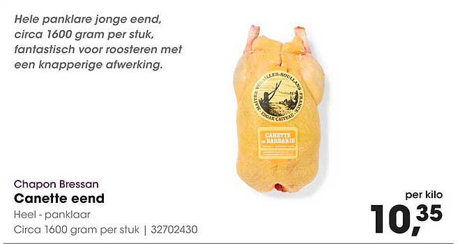 Canette eend
