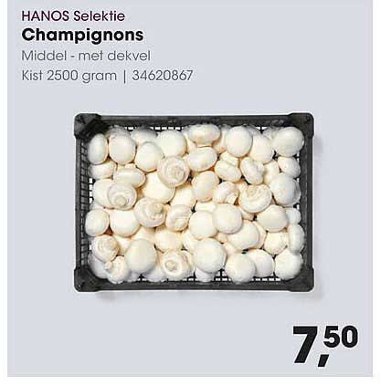 Champignons Middel - met deksel
