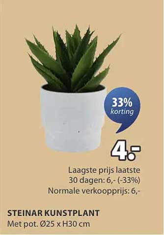 STEINAR KUNSTPLANT