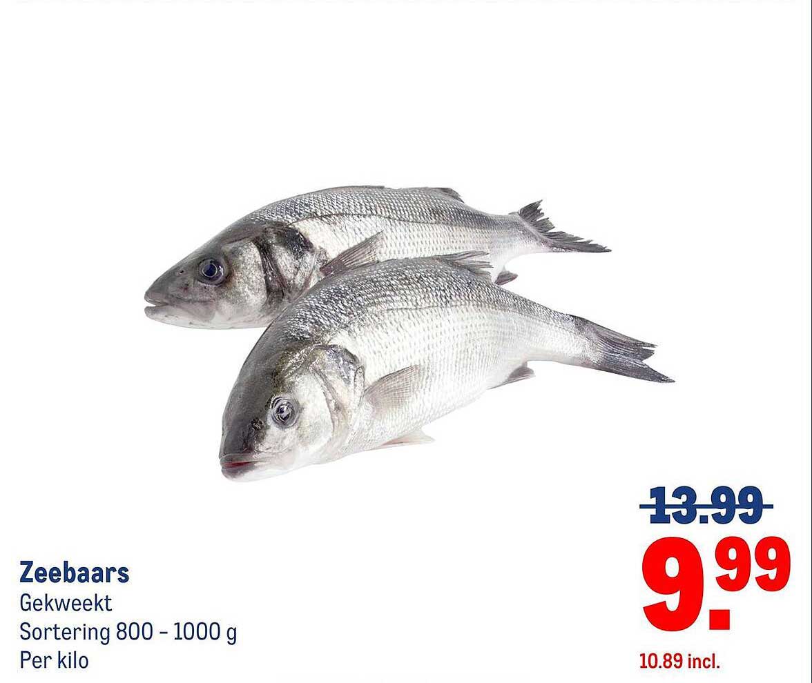 Zeebaars