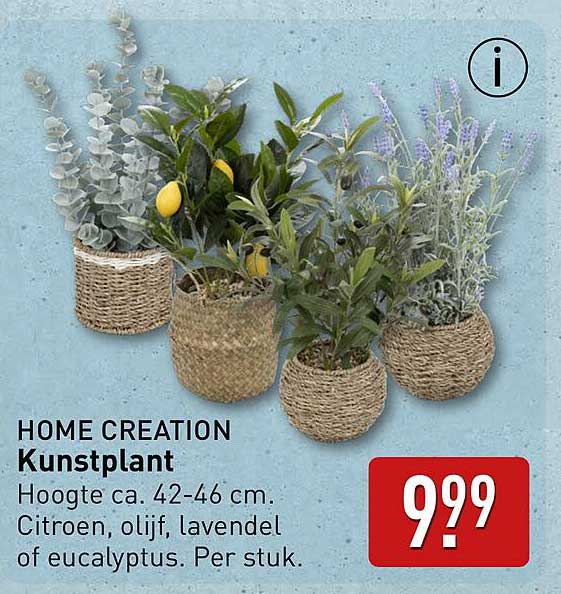 HOME CREATION Kunstplant
